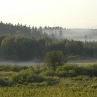 Apartment Olsinska Stodola